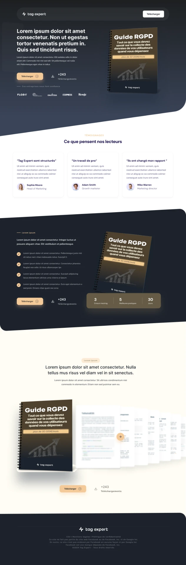 Aperçu du site Tag Expert — Guide RGPD